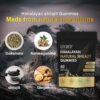 Organic Shilajit Ashwagandha Gummies