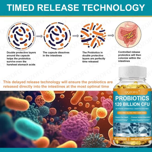 5-14.jpg Digestive Probiotics Softgel Capsules